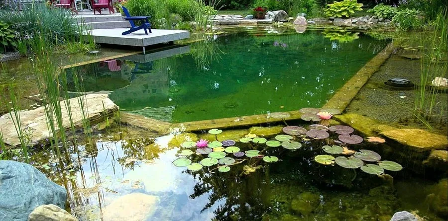 Backyard koi pond built with a LifeGuard EPDM liner